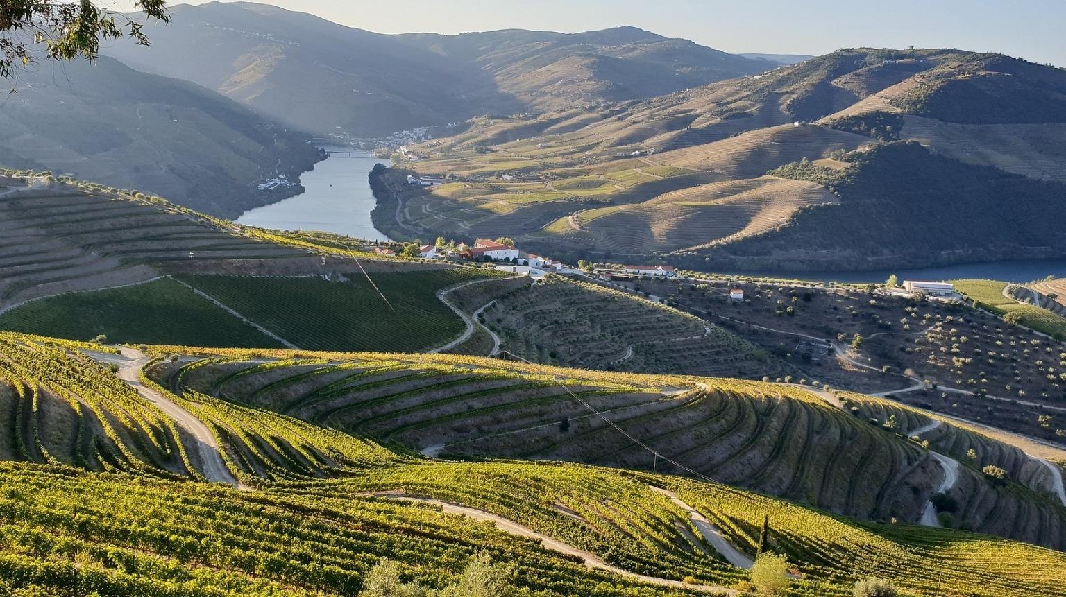 Douro Valley: a unique wine region