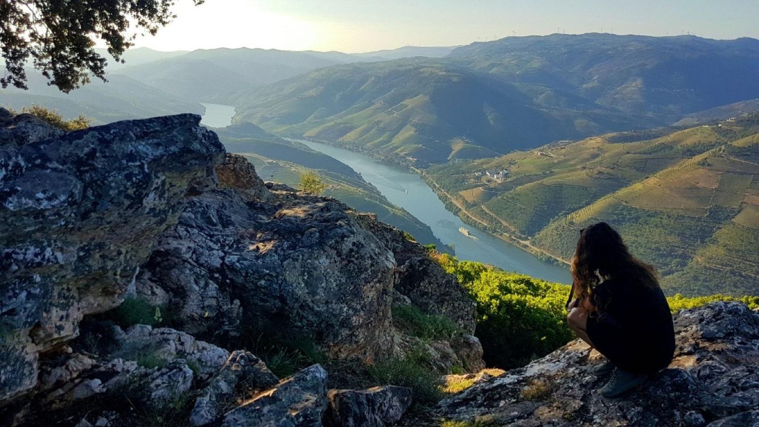 Vue panoramique de la vallée du Douro et de la rivière Douro lors de notre circuit œnologique dans la vallée du Douro.