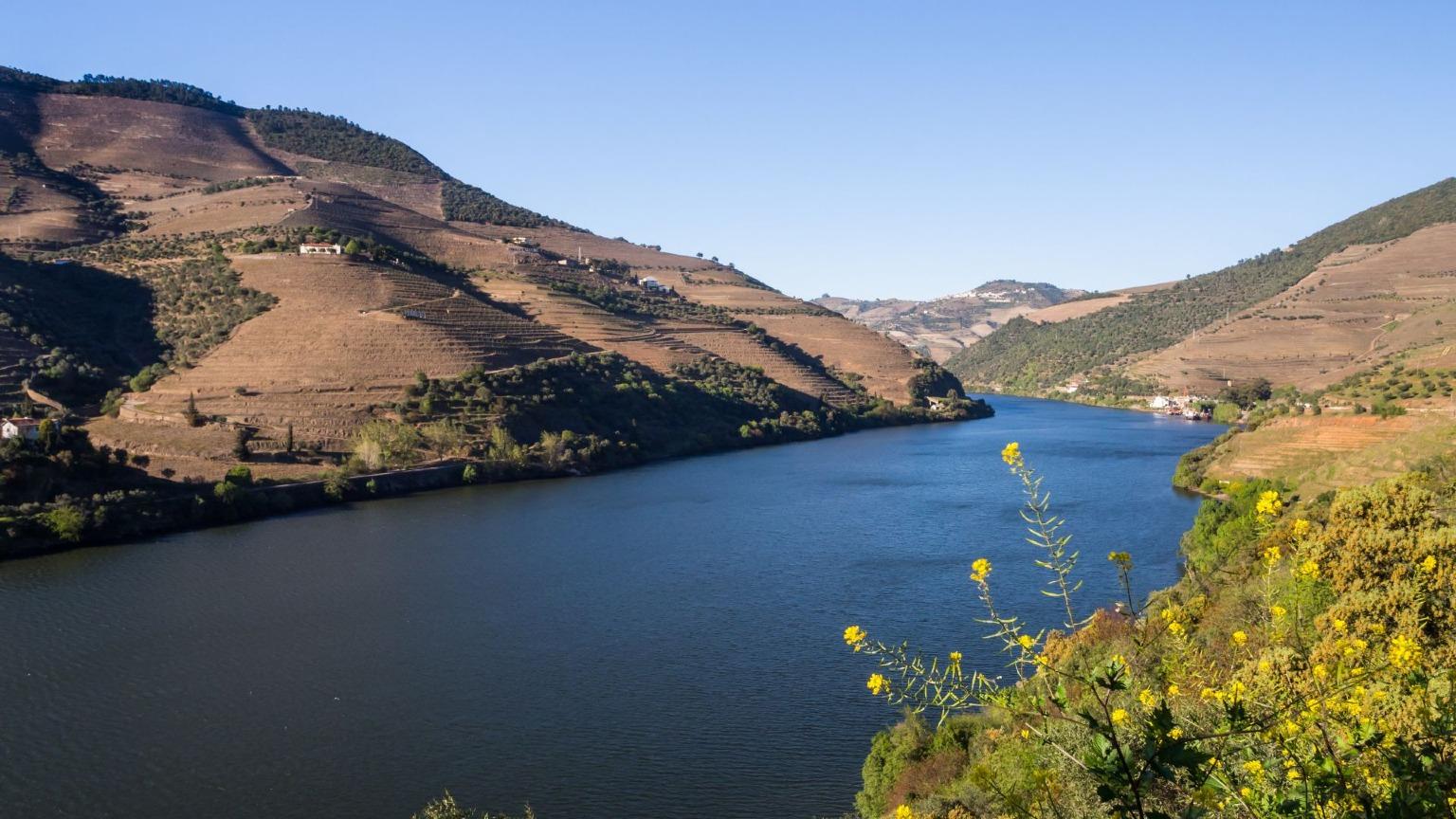 Image of the Douro River and the banks that encompass the Douro Demarcated Region