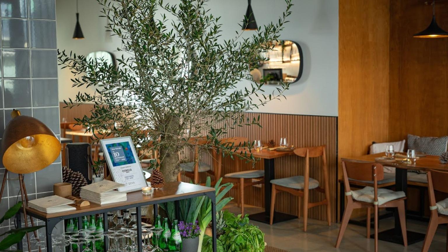 Situado en la Rua Sarmento Pimentel, «Seiva» ofrece una cocina del mundo creativa basada en plantas, destacando las verduras de temporada en cada plato.