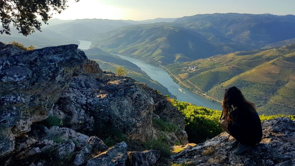 Un punto de vista panorámico sobre el valle del Duero y el río Duero en nuestro Douro Valley Wine Tour | Cooltour Oporto