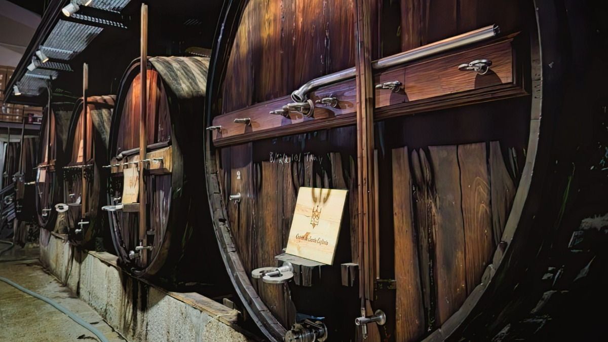 Antiguos barriles de vino de Oporto en una bodega familiar durante nuestro Tour del Vino del Valle del Duero | Cooltour Oporto