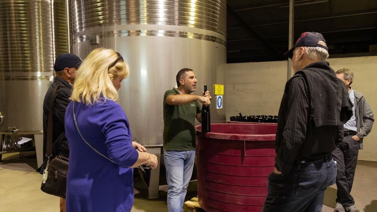 Visita a la zona de producción de Vinho Verde en una de las quintas que se visitarán | Cooltour Oporto