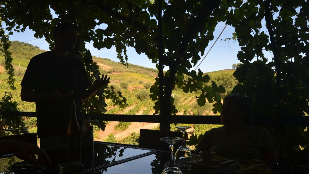 Picturesque Wine Terrace Experience During Our Tour | Cooltour Oporto