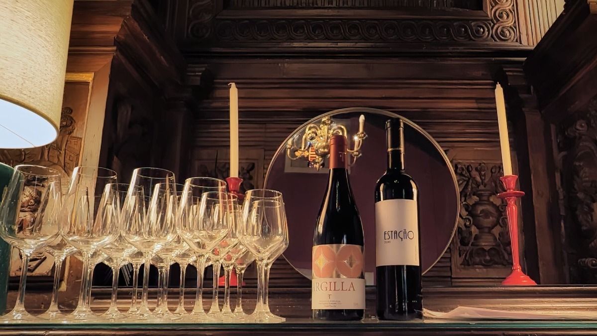 Presentación de los vinos tintos del Duero y Alentejo antes de nuestra degustación de vinos durante nuestro Porto Fado y Wine Tour | Cooltour Oporto