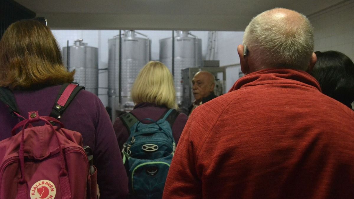 Visita guiada a las zonas de producción de Vinho Verde de la Quinta | Cooltour Oporto