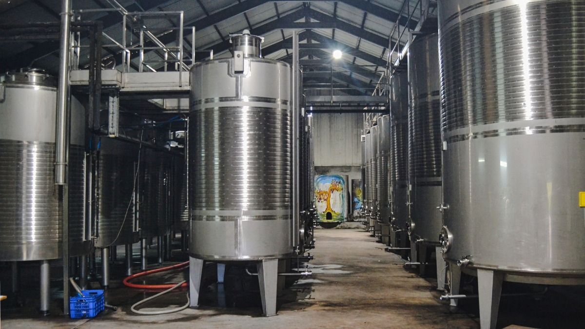 Tanques de producción y almacenamiento de Vinho Verde | Cooltour Oporto