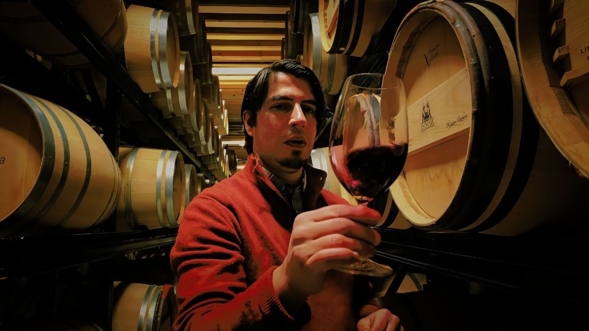 Découvrez la fabrication du vin dans des domaines viticoles familiaux lors de l'excursion dans la vallée du Douro au départ de Porto | Cooltour Oporto