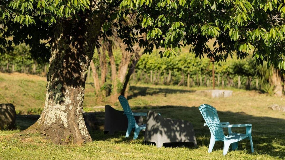 Zona de ocio bajo un árbol en una de las quintas de la región de Vinho Verde | Cooltour Oporto