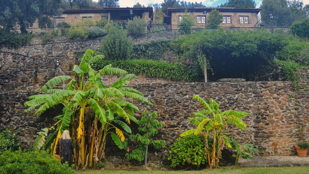 Vista única de una quinta de vinho verde con sus terrazas y jardines | Cooltour Oporto