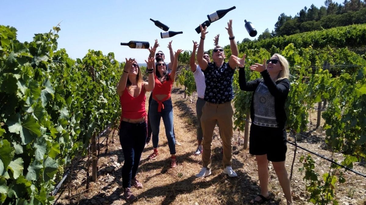 Visiting wineries and vineyards in small groups during our Douro Valley Wine Tour from Porto | Cooltour Oporto 