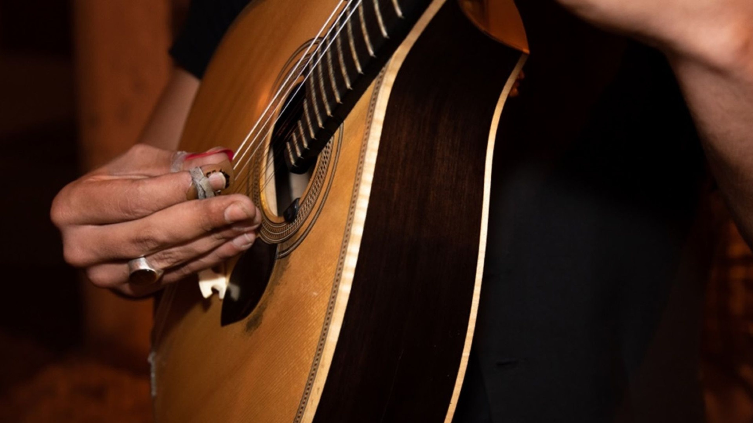 6zuJ Portuguese Guitar