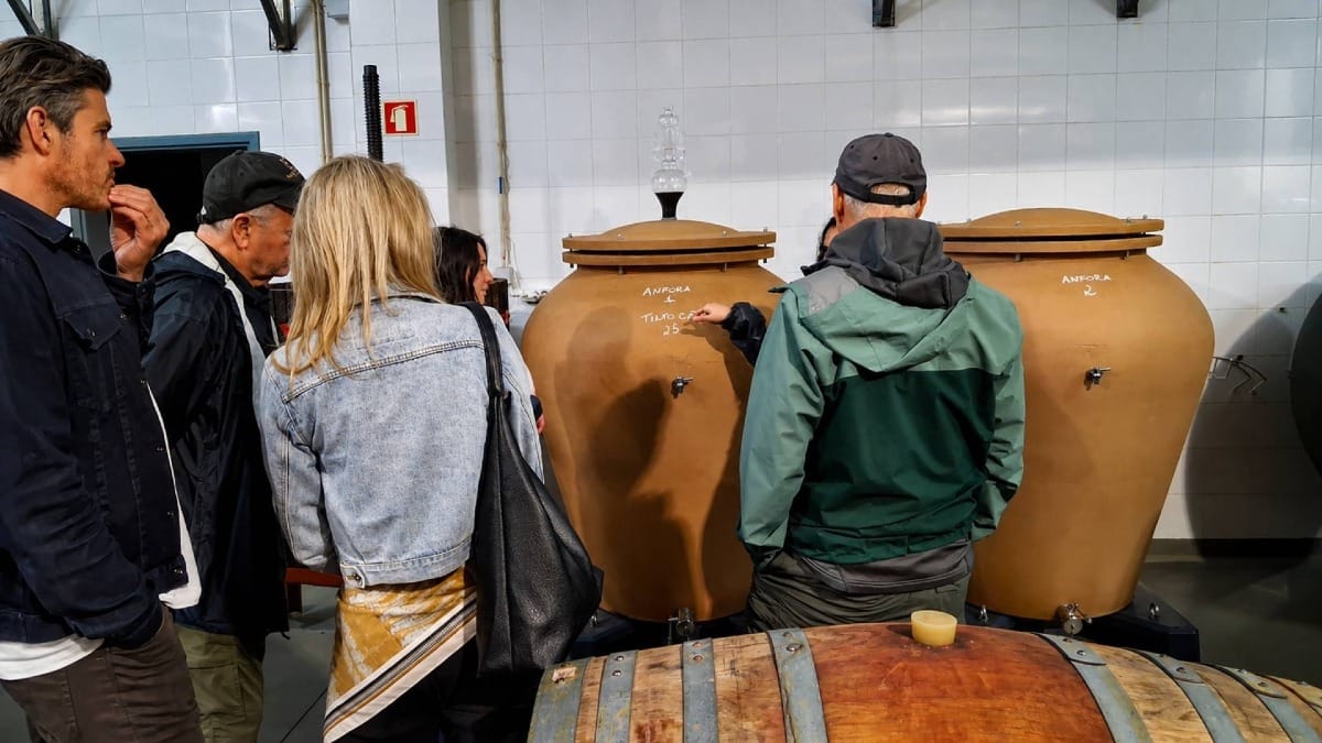 Explore the estate's winemaking heritage through its production facilities