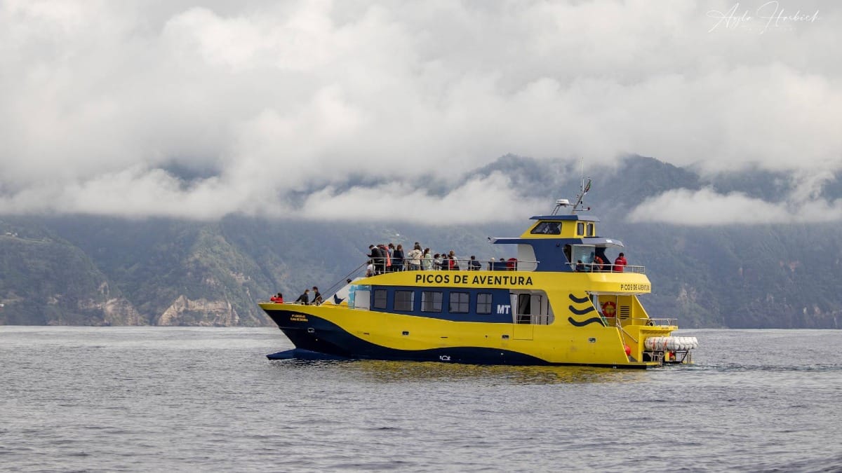 Expert marine biologists guide your experience and help locate whales responsibly