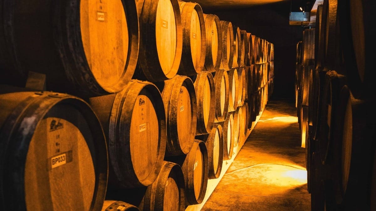 Visit the cellar spaces where time and patience shape premium Douro wines