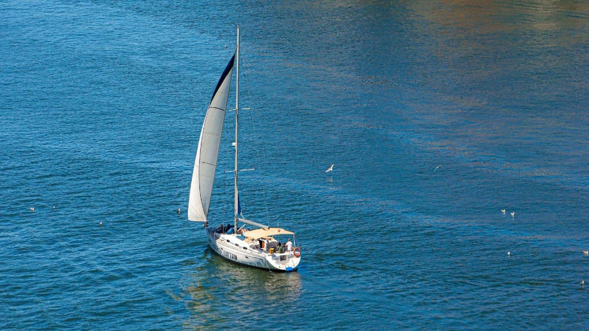 Sailing boat on the Douro River in Porto with blue waters and wind-filled sails