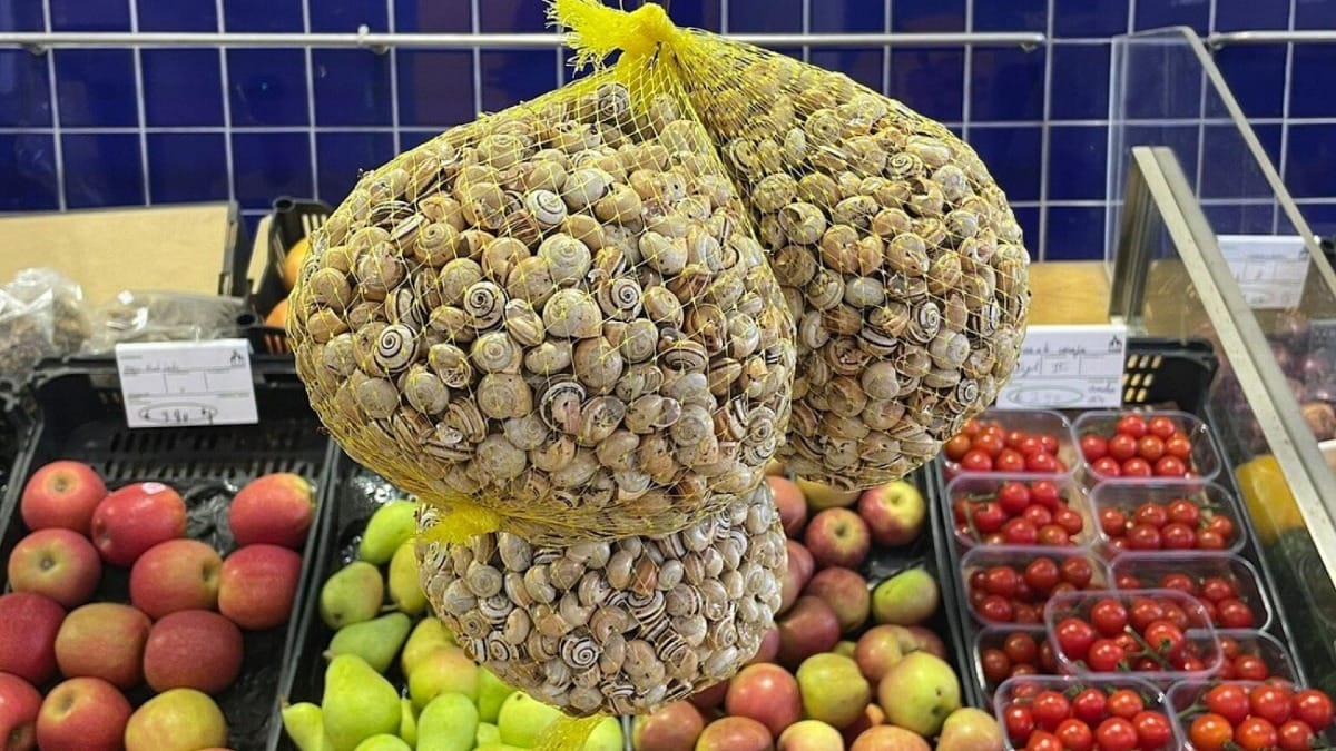 Caracóis algarvios e produtos frescos como tomates e maçãs numa banca do mercado