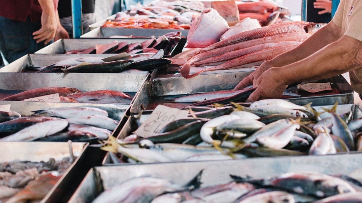 Intérieur du marché aux poissons d’Olhão avec étals de poissons et fruits de mer frais