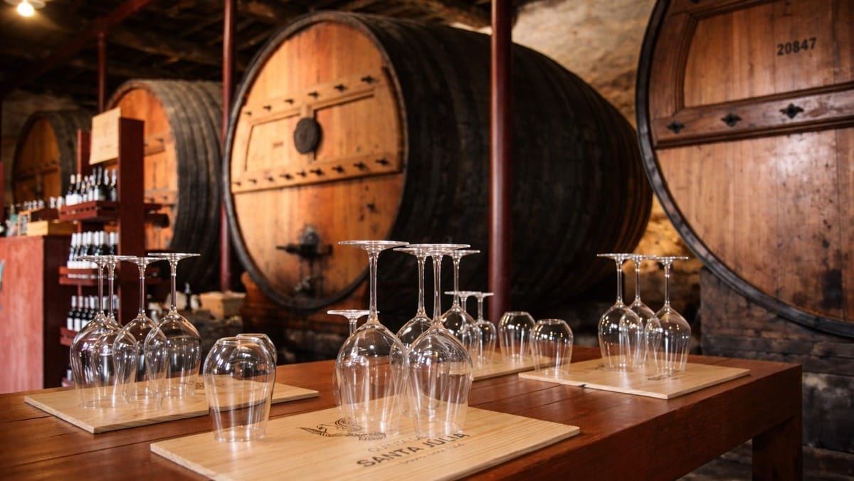 Taste Douro DOC wines and aged Port wines in an authentic estate cellar setting