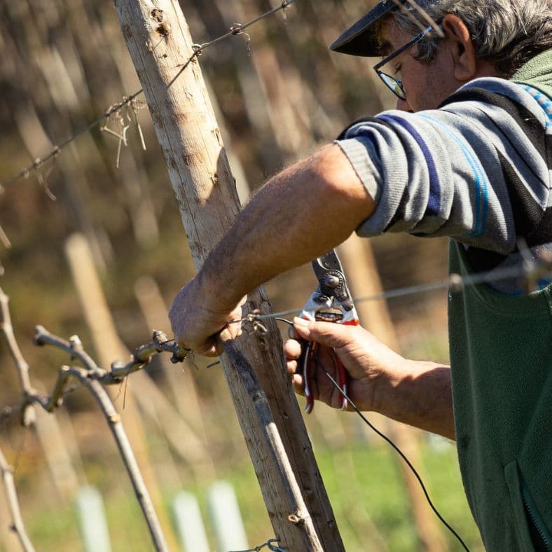 Apoya a las empresas locales de Oporto con nuestros Eco Tours de Oporto