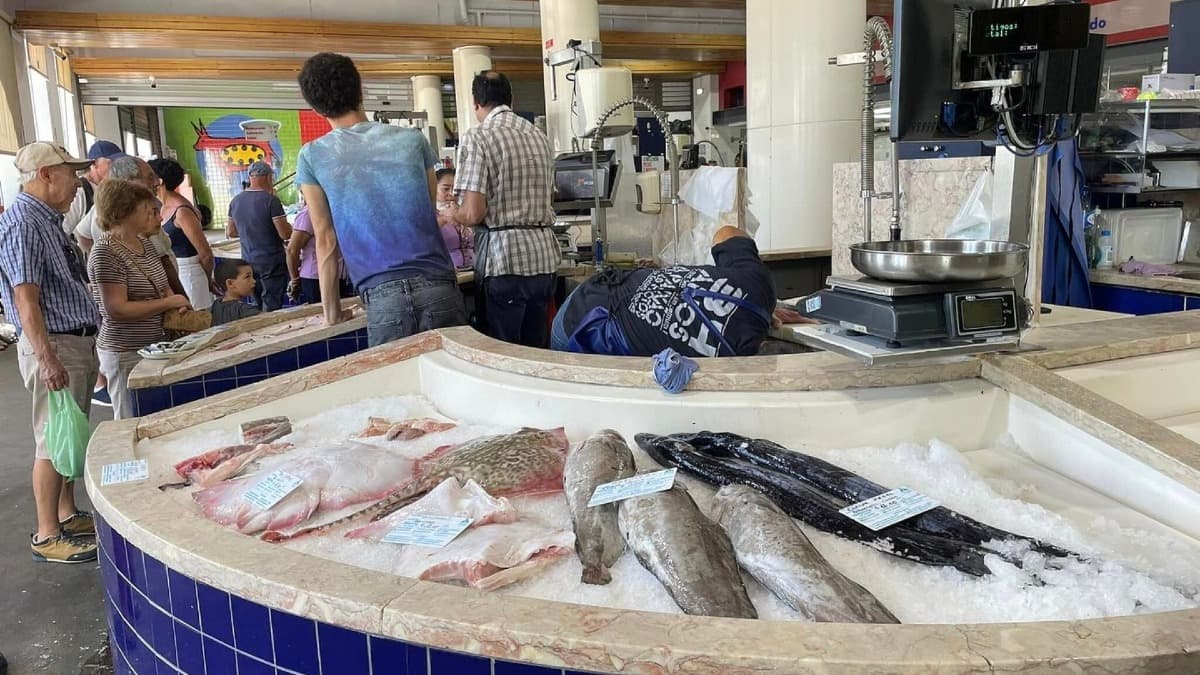 Visite Gastronomique et Marché de Lagos – Saveurs de l’Algarve