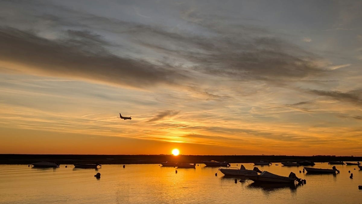 52w0 sunset catamaran half day tour private faro