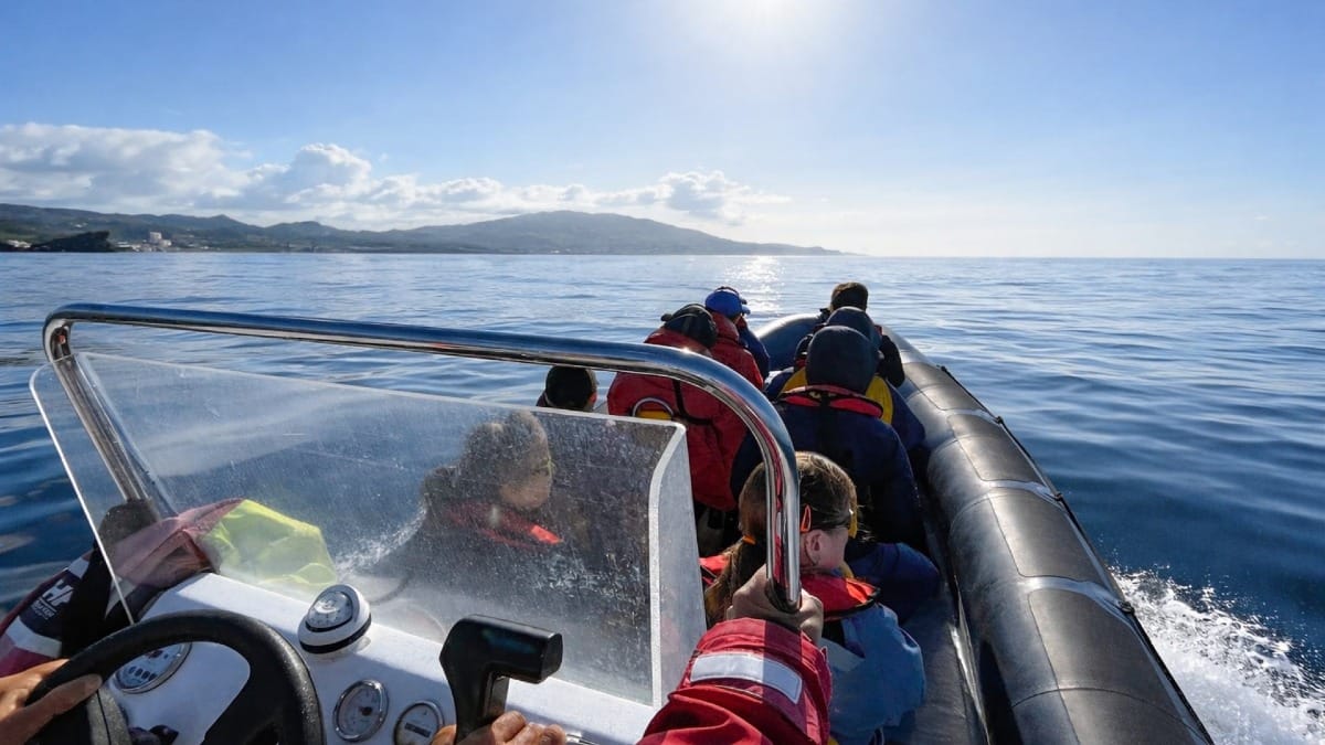 Head out to sea on a zodiac boat for an unforgettable dolphin encounter in the Azores