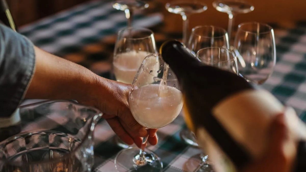 Vinho Verde tasting at a local estate | Cooltour Oporto