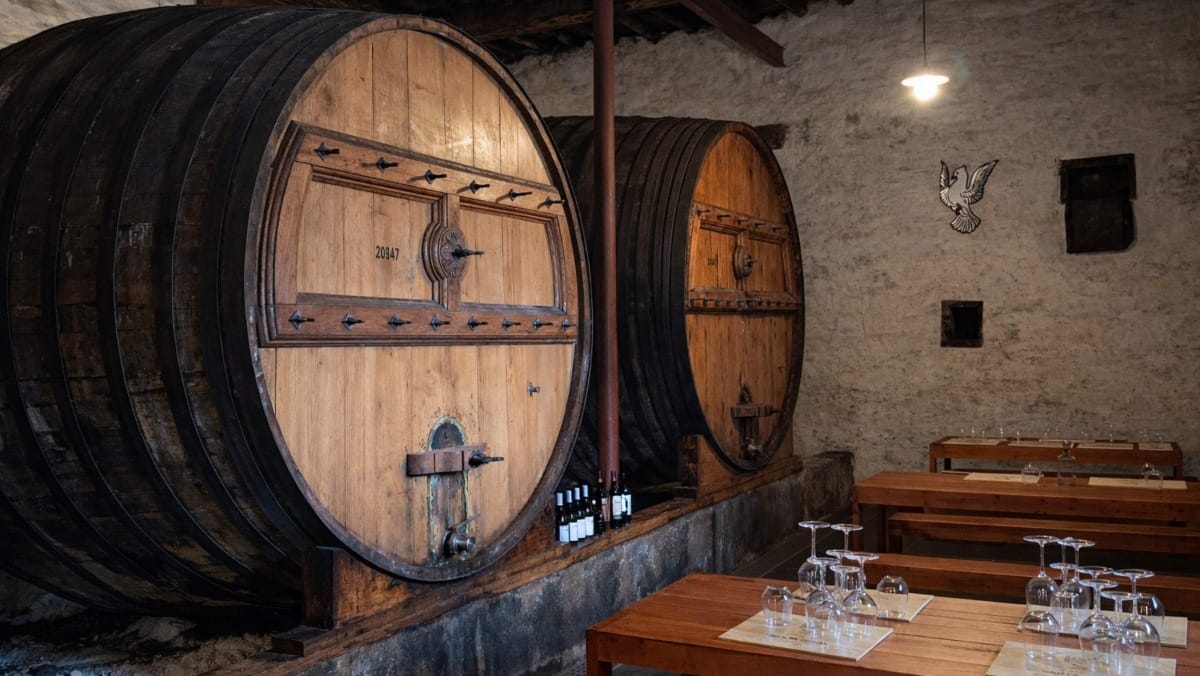 Discover the cellar where Douro wines and Ports are aged to perfection