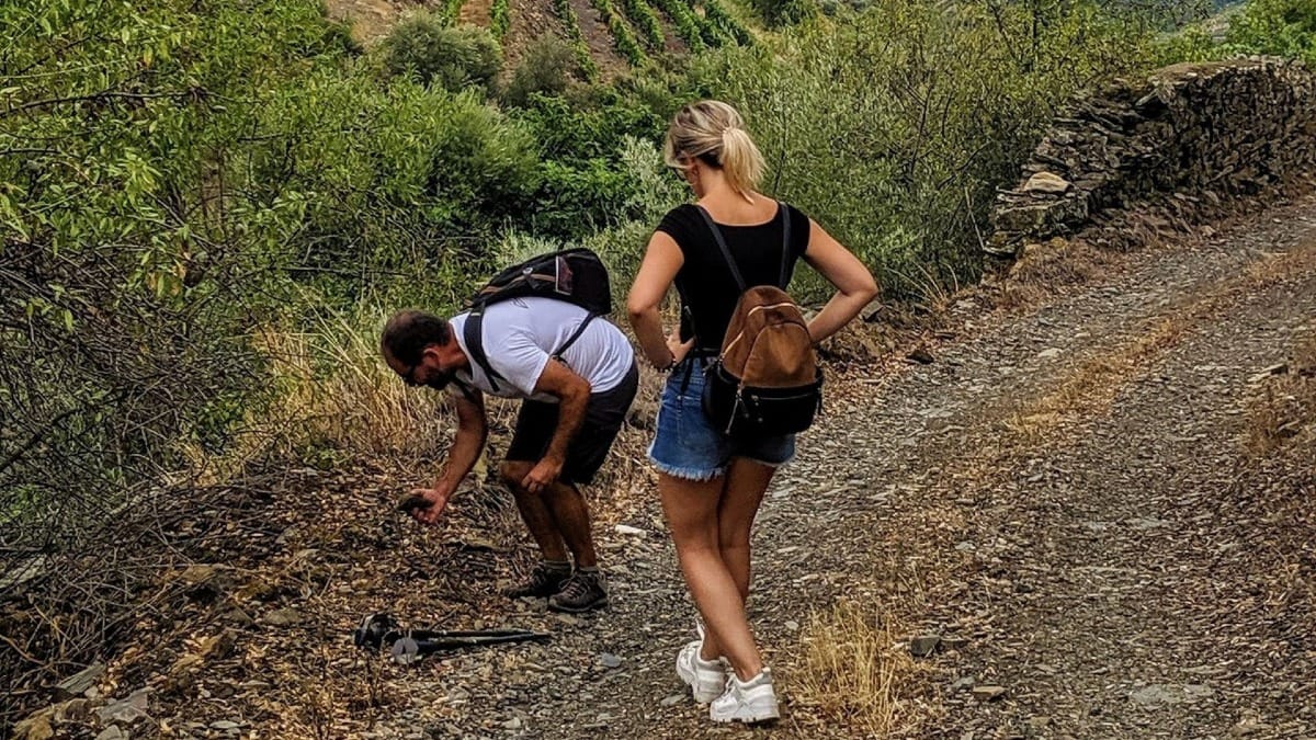 78T6 douro valley soil terrace guided tour