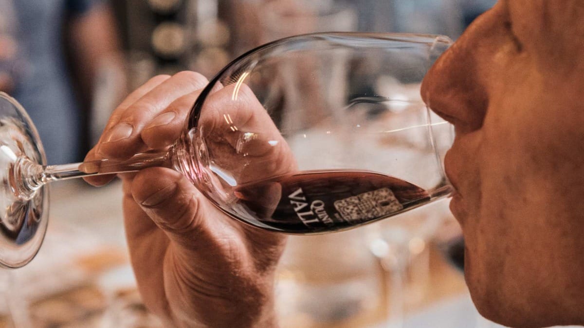 Man sipping red wine at Quinta do Vallado during a guided tasting in Porto