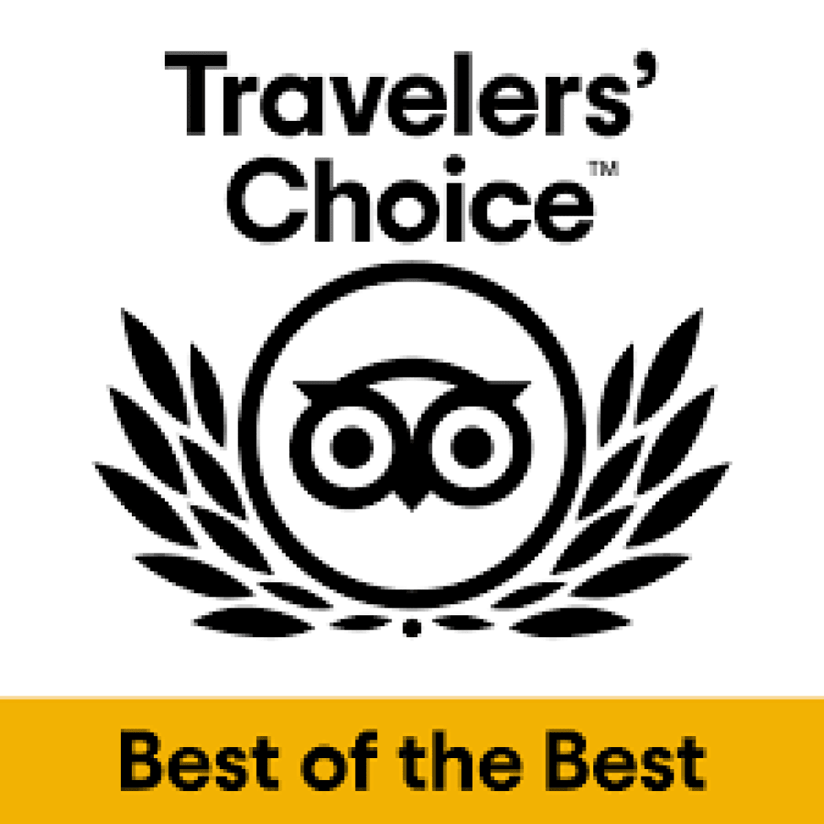 Best of the Best