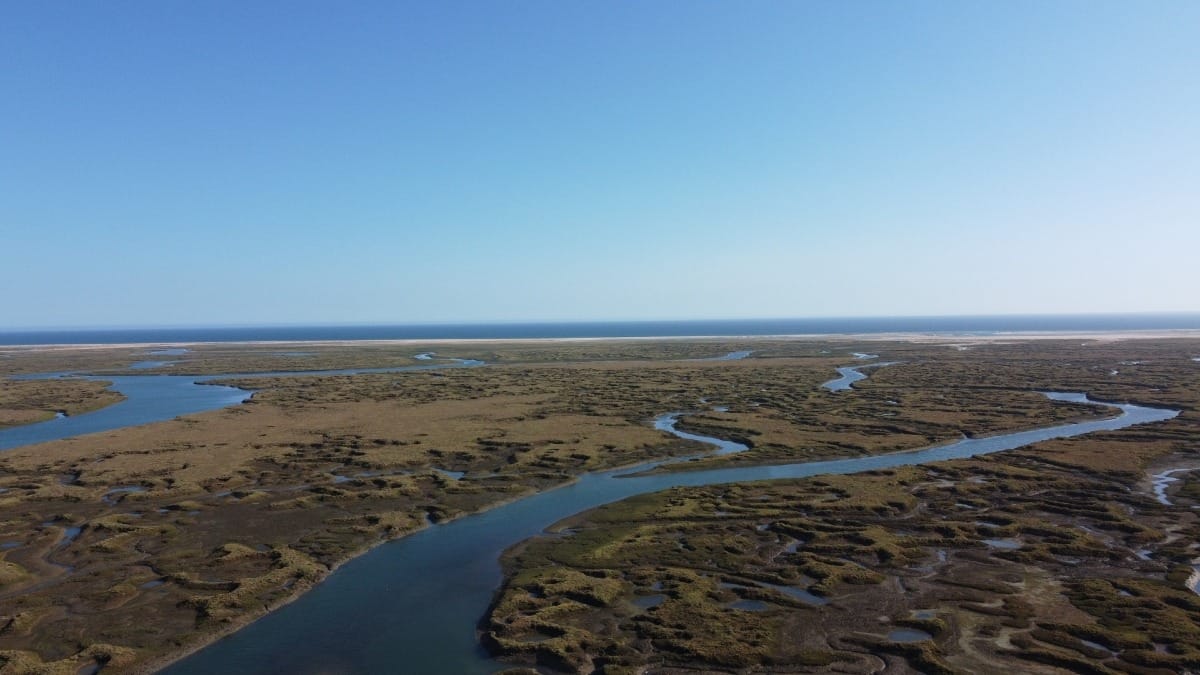 8Pz7 faro ria formosa natural reserve full day eco tour