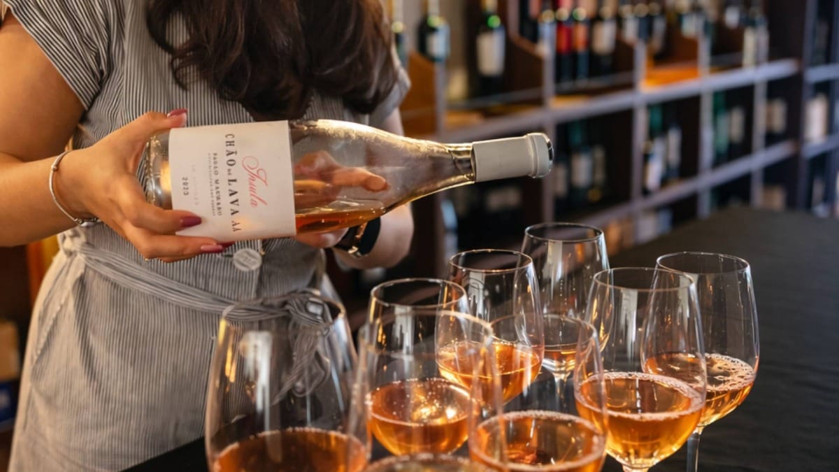 Degusta vinos locales servidos por anfitriones apasionados durante tu tour gastronómico y enológico nocturno