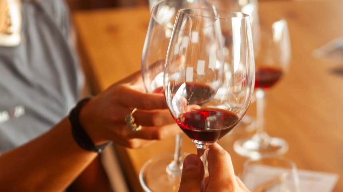 Finish your visit with a commented tasting of wines and Ports selected by the estate