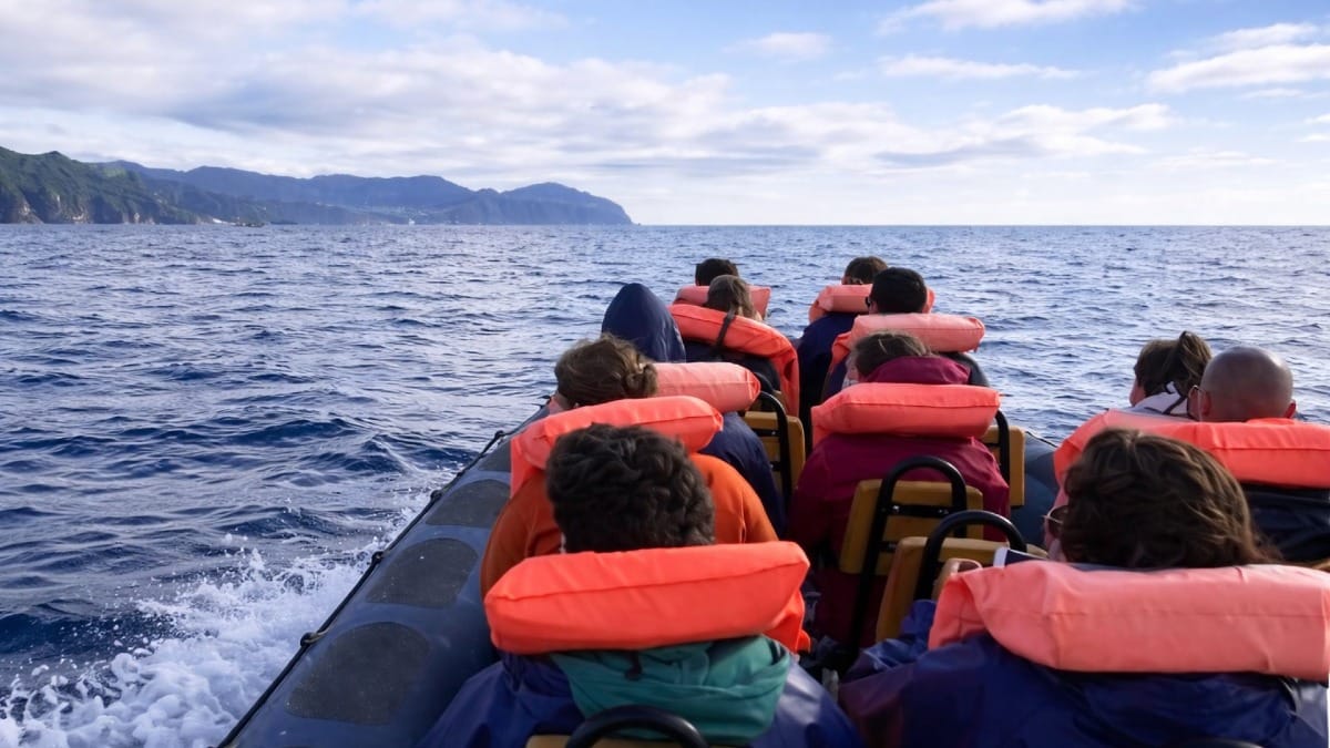 Um tour de barco em pequeno grupo aproxima-o dos golfinhos nos Açores