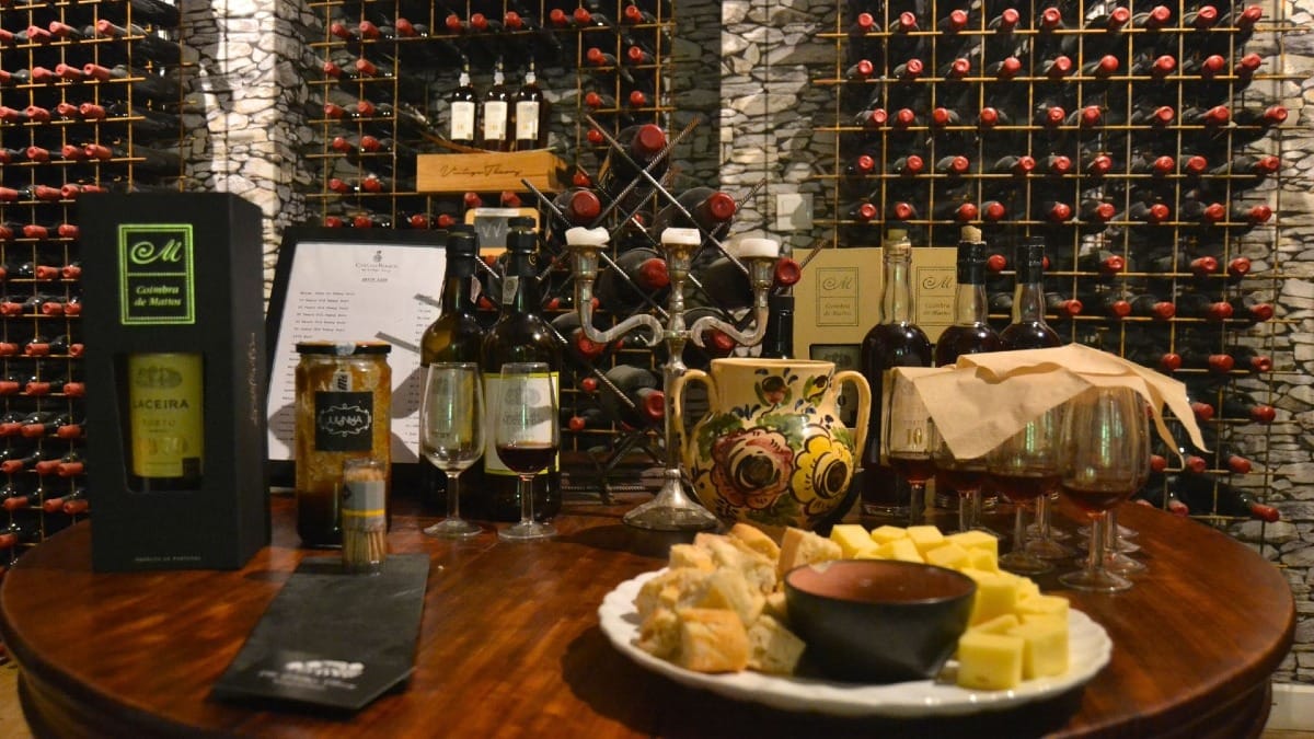 Cata de vino de Oporto vintage durante un tour por el Valle del Duero con Cooltour Oporto