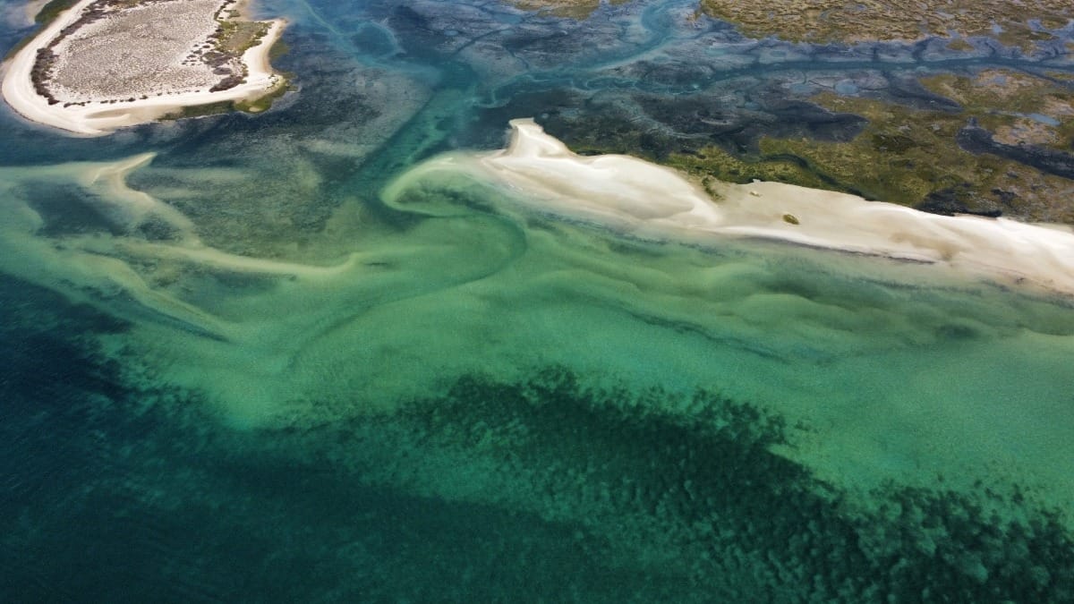 AlZv ria formosa islands and beaches faro algarve