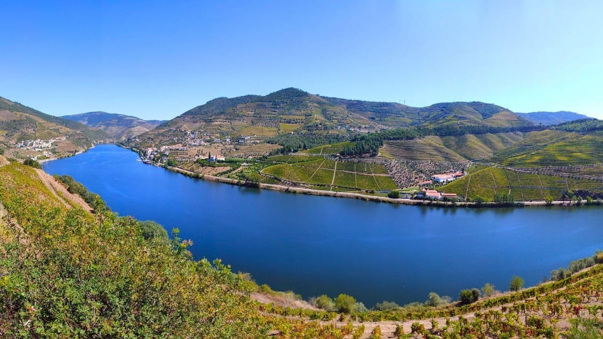 Vista del río Duero serpenteando entre los viñedos del valle