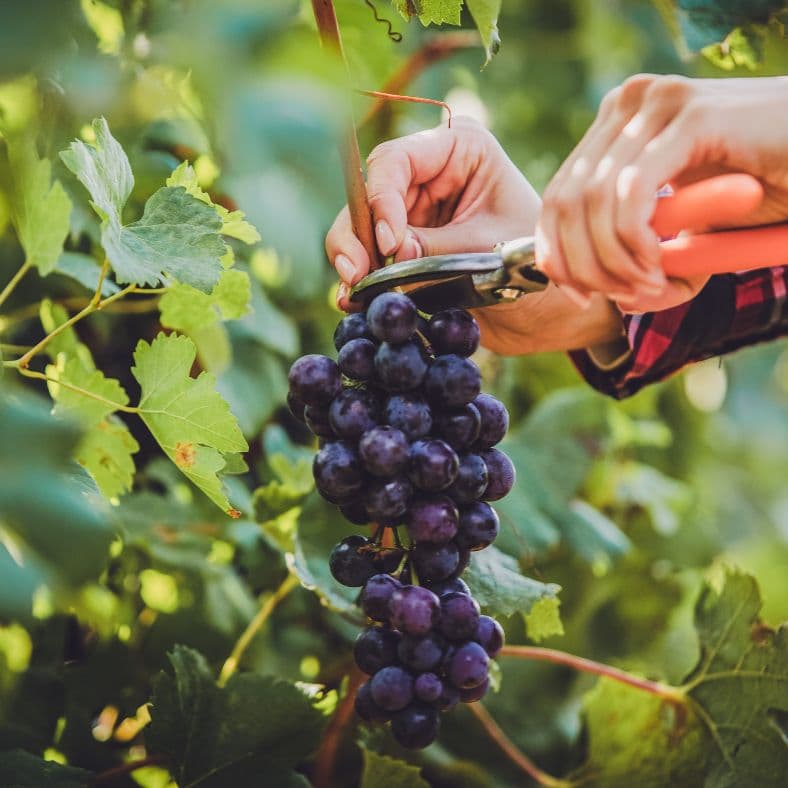 El turismo responsable apoya la economía local