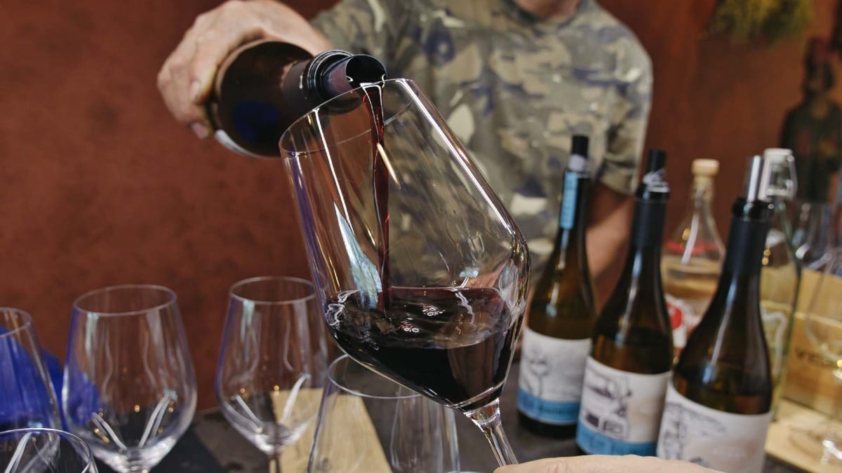 La dégustation commence par un verre – des vins haut de gamme du Douro lors de votre visite privée