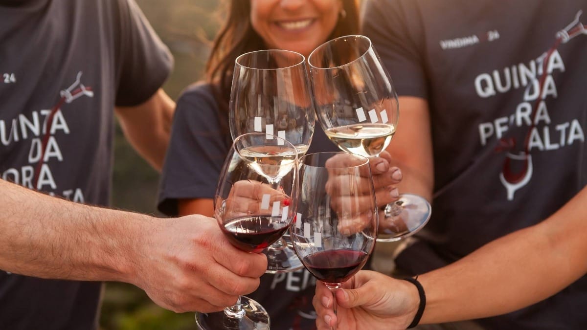 Share memorable moments while tasting wines from the estate