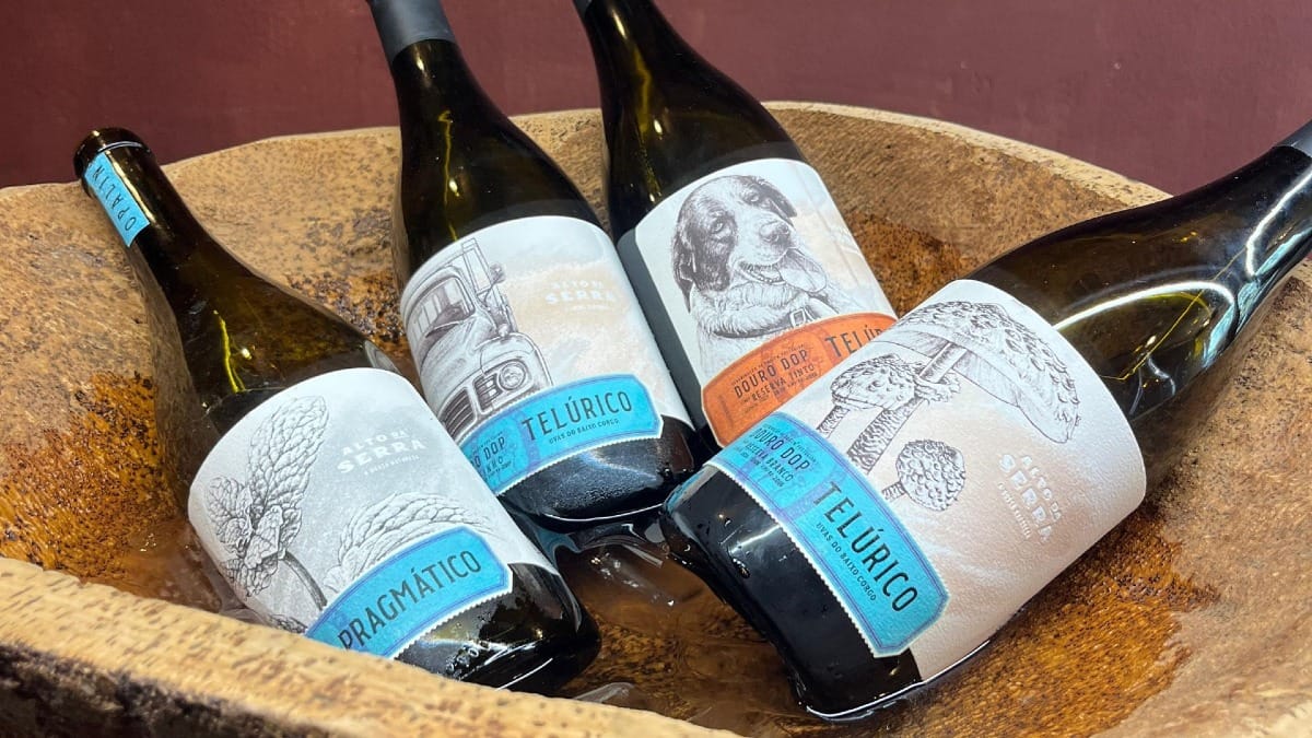 Dégustation de vins uniques du Douro tels que Telúrico et Pragmatico au domaine viticole Alto da Serra.