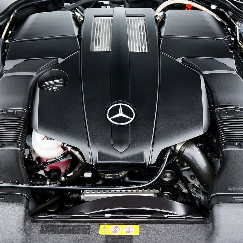 Passeios ecológicos com transportes modernos