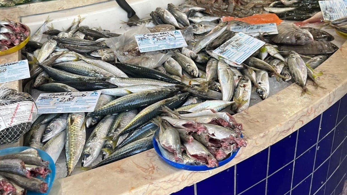 Vários peixes frescos do Atlântico em exposição no mercado de peixe de Lagos, incluindo carapaus, sardinhas e douradas