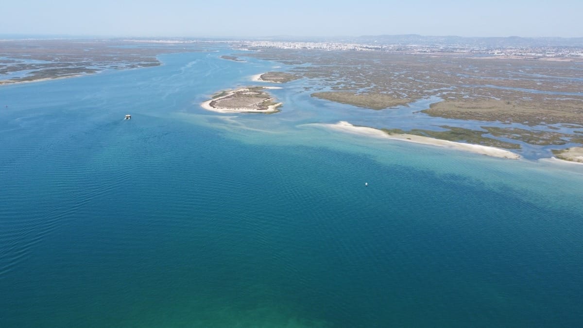 ETGK ria formosa atlantic ocean half day tour