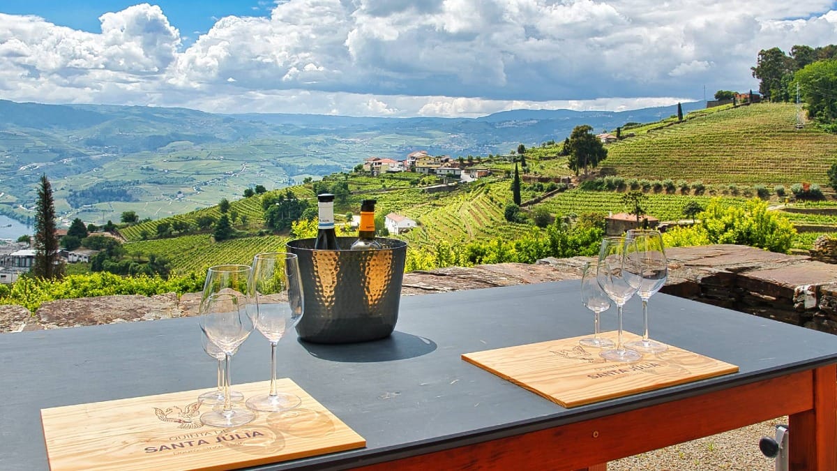 Enjoy estate wines surrounded by one of Portugal's most iconic landscapes