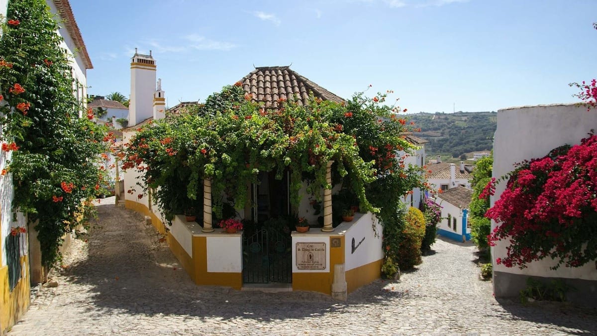 EtJZ obidos whitewashed street flower house