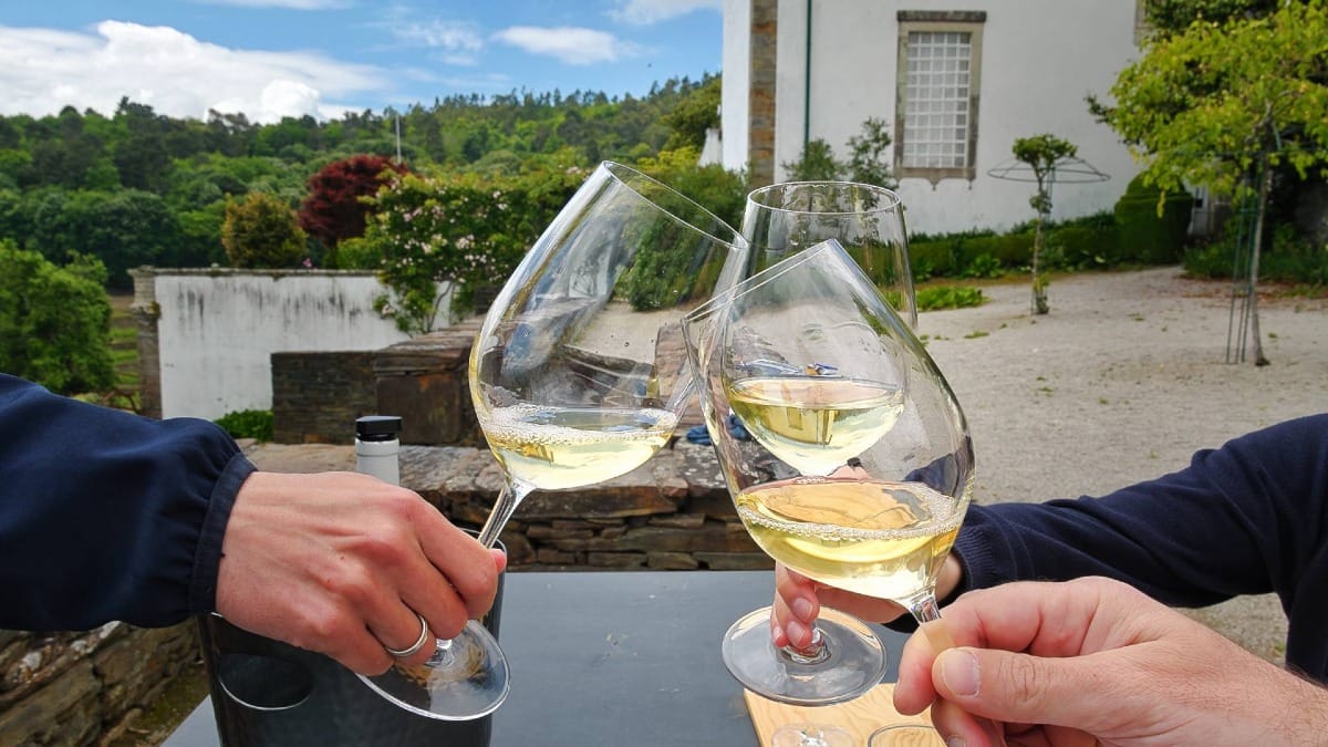 Celebrate the moment with a glass of Douro wine and unforgettable views