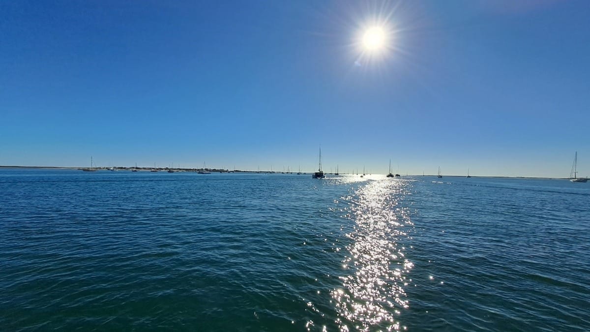 FG8b daylight private catamaran tour faro